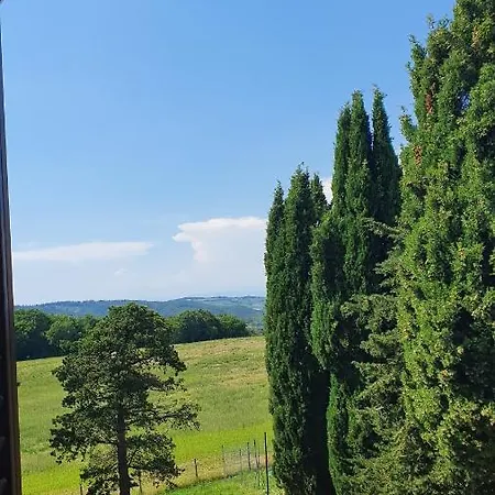 Casalchino